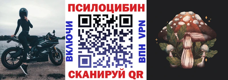 Псилоцибиновые грибы прущие грибы  Купить закладки  Гаврилов Посад 
